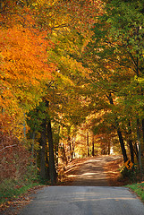 Autum Leaves on a Fall Drive